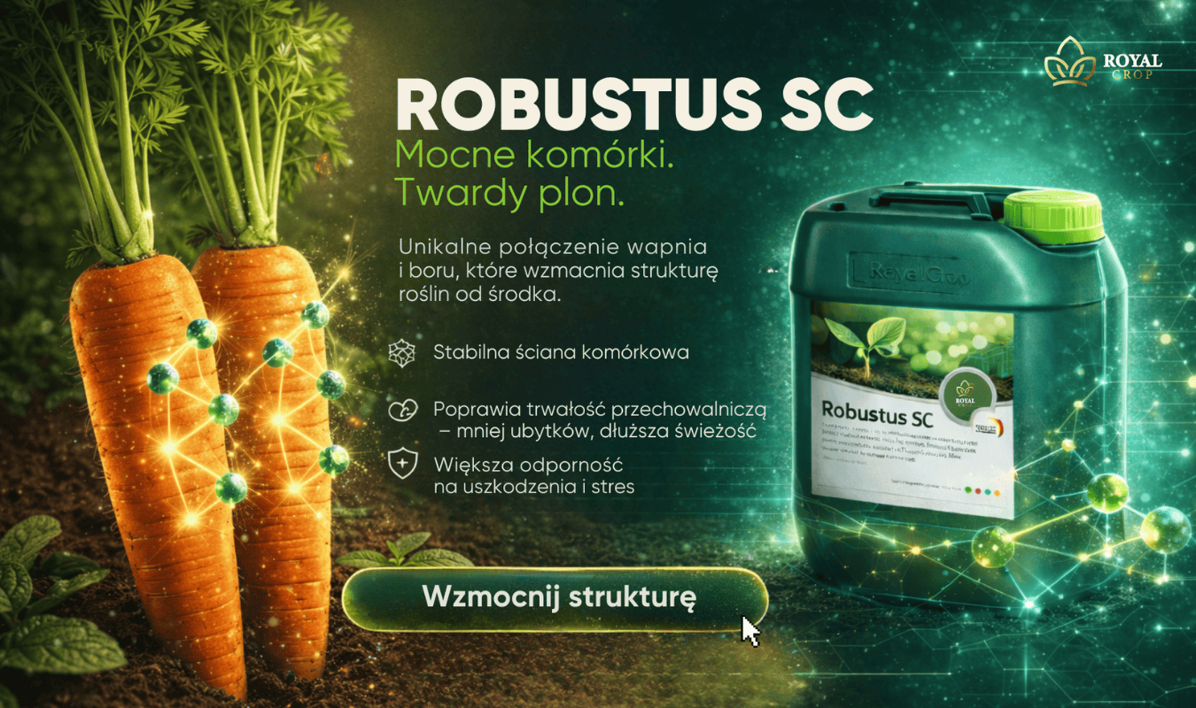 Royal Crop Mobile Slider 2