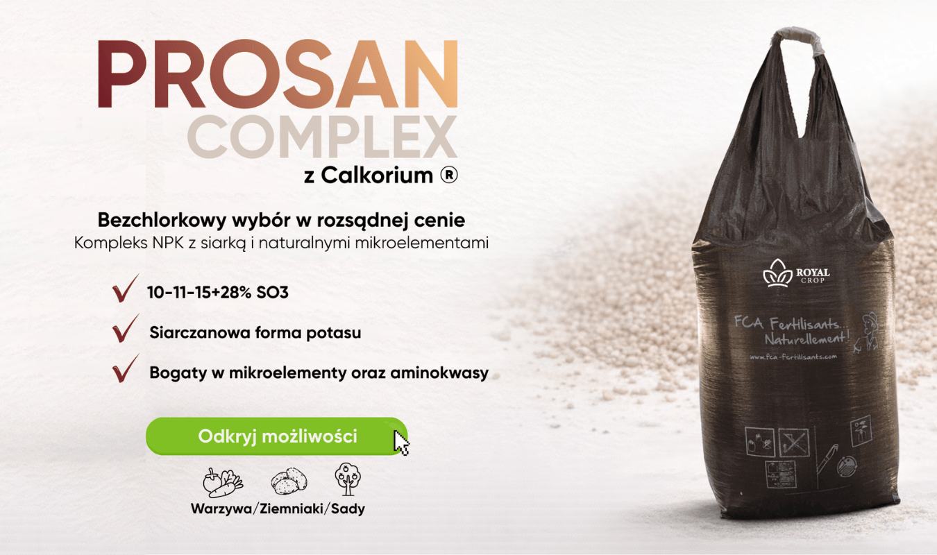 Royal Crop Mobile Slider 3