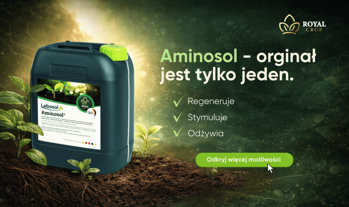 Royal Crop Mobile Slider 4