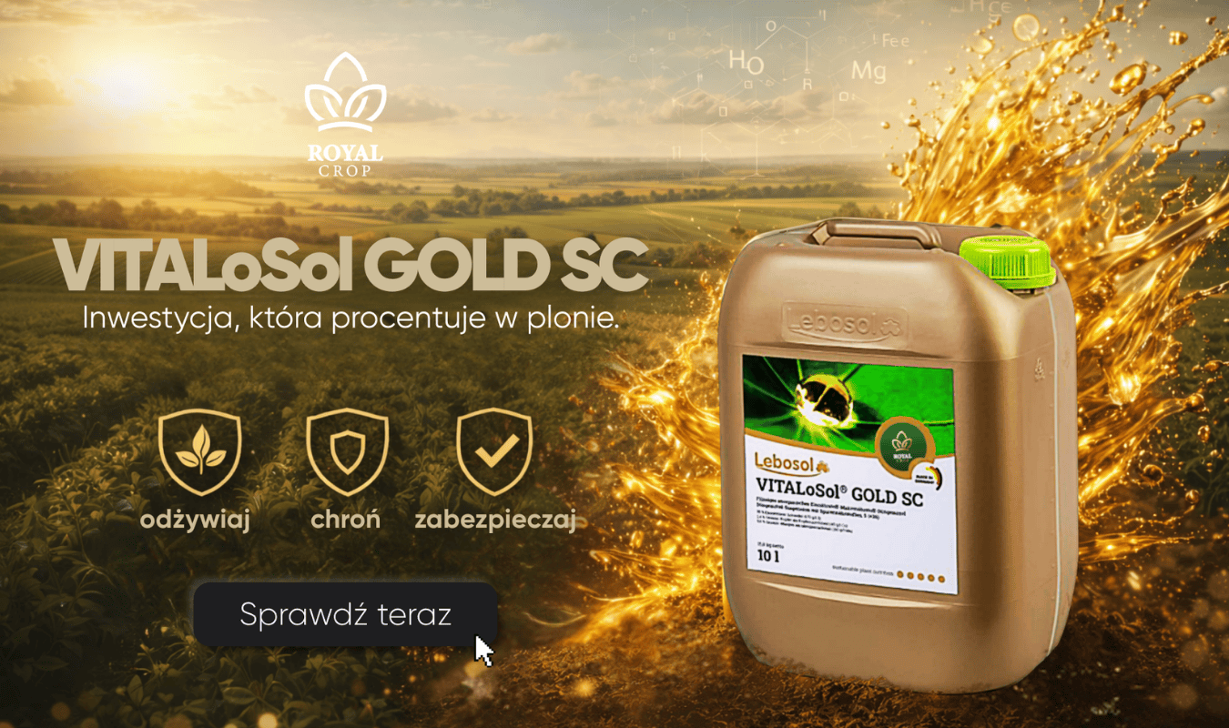 Royal Crop Mobile Slider 1